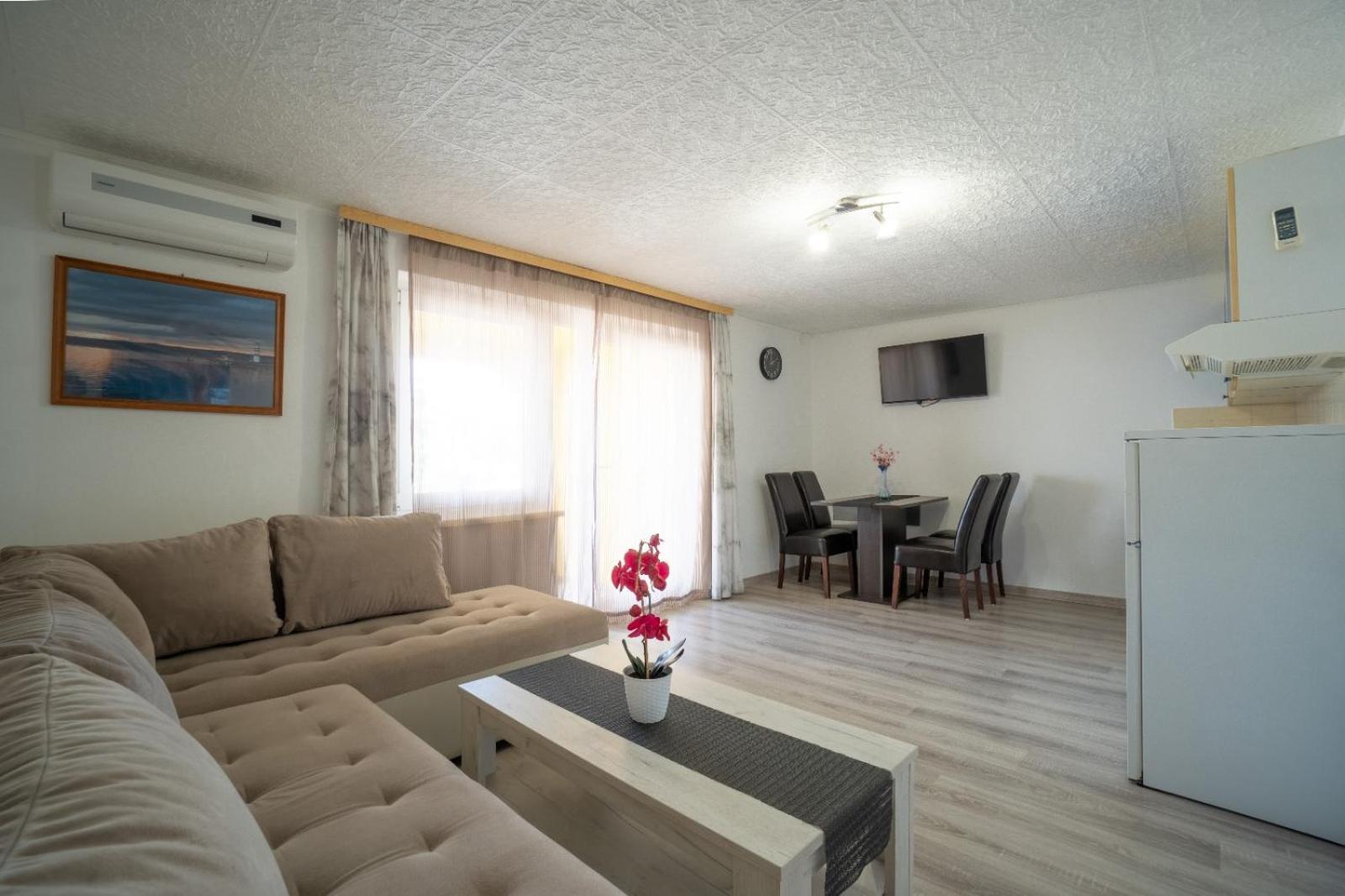 Apartments Pavic Vir Exterior foto